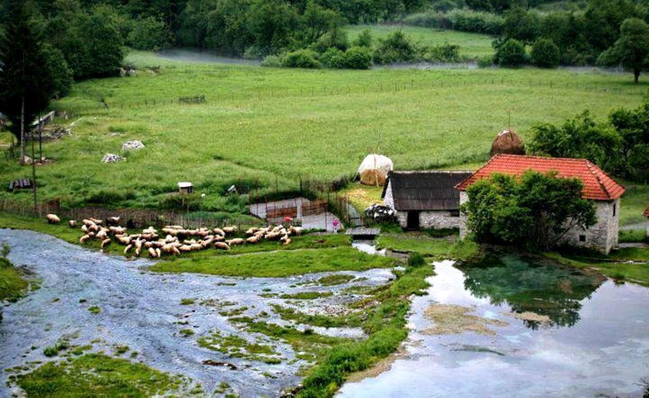 Hotel Rosi Gusinje ภายนอก รูปภาพ